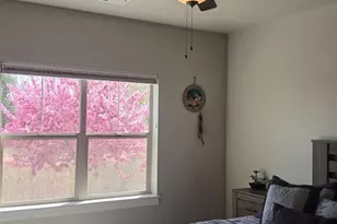 4612 Hahns Peak Dr, Loveland, CO 80538 - Photo 18