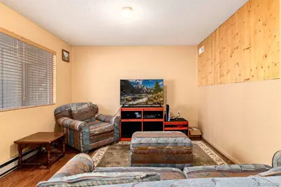 65 Silver Springs Road, Bailey, CO 80421 - Photo 14