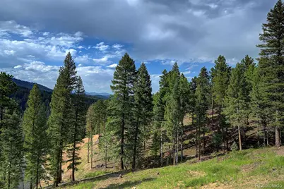 6874 Lynx Lair Road, Evergreen, CO 80439 - Photo 10