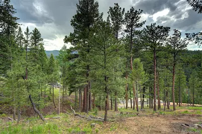 6874 Lynx Lair Road, Evergreen, CO 80439 - Photo 2