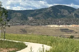 9204 Star Fall Cir, Littleton, CO 80125 - Photo 38