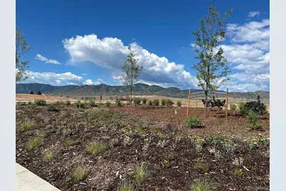 9204 Star Fall Circle, Littleton, CO 80125 - Photo 36