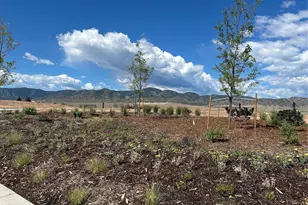 9204 Star Fall Cir, Littleton, CO 80125 - Photo 36