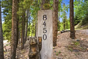 8450 London Ln, Conifer, CO 80433 - Photo 2