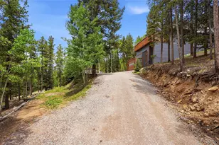 8450 London Ln, Conifer, CO 80433 - Photo 4