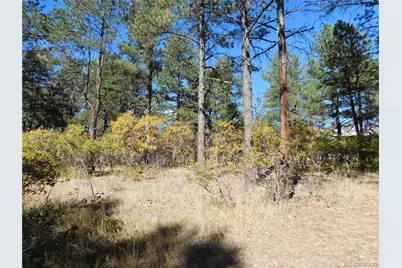 682 Copper Fox Place, Larkspur, CO 80118 - Photo 20