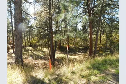 682 Copper Fox Place, Larkspur, CO 80118 - Photo 8