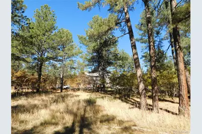 682 Copper Fox Place, Larkspur, CO 80118 - Photo 14