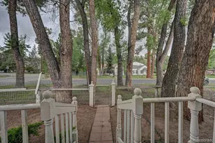 319 W Arkansas St, Buena Vista, CO 81211 - Photo 26