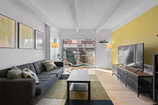 1265 Race St, Denver, CO 80206 - Photo 12