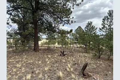 Chicha Road, Hartsel, CO 80449 - Photo 4