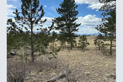 Chicha Road, Hartsel, CO 80449 - Photo 8