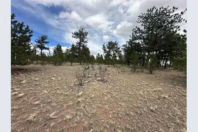 Chicha Road, Hartsel, CO 80449 - Photo 16