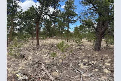 Chicha Road, Hartsel, CO 80449 - Photo 20