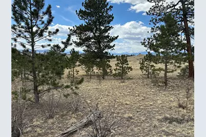 Chicha Road, Hartsel, CO 80449 - Photo 10