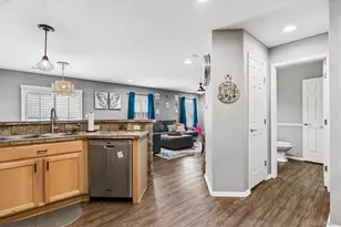 6238 Wescroft Ave, Castle Rock, CO 80104 - Photo 12