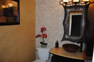 8798 Forrest Dr, Highlands Ranch, CO 80126 - Photo 10