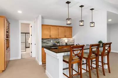 372 Castlemaine Court, Castle Rock, CO 80104 - Photo 38