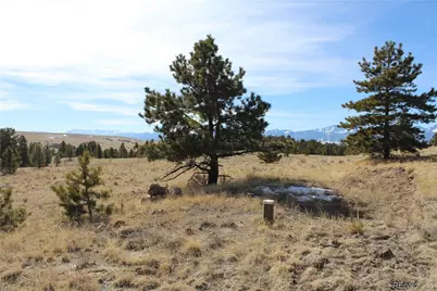 1615 Schulze Ranch Road, Westcliffe, CO 81252 - Photo 10