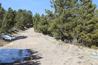 1615 Schulze Ranch Road, Westcliffe, CO 81252 - Photo 12