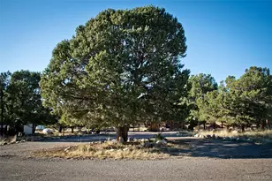 109 Pinewood Overlook, Crestone, CO 81131 - Photo 36