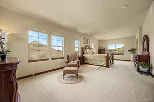 10492 Rivington Ct, Lone Tree, CO 80124 - Photo 16