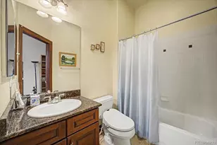 10492 Rivington Ct, Lone Tree, CO 80124 - Photo 28