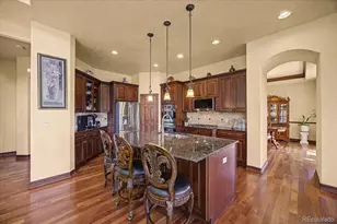 10492 Rivington Ct, Lone Tree, CO 80124 - Photo 10