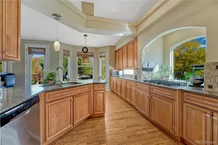 1410 Exquisite St, Castle Rock, CO 80109 - Photo 10