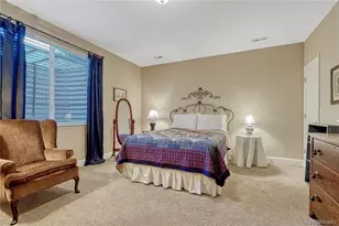 1410 Exquisite St, Castle Rock, CO 80109 - Photo 38