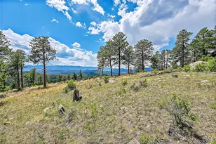 33550 Mt Wilson Trail, Pine, CO 80470 - Photo 1