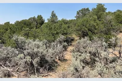Lot 12 Bull Elk Trail, San Luis, CO 81152 - Photo 4