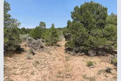Lot 12 Bull Elk Trail, San Luis, CO 81152 - Photo 22
