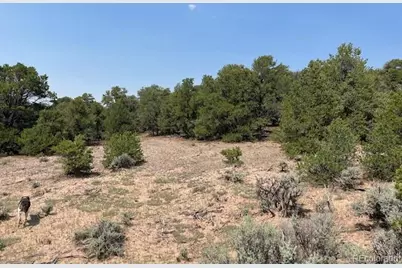 Lot 12 Bull Elk Trail, San Luis, CO 81152 - Photo 8