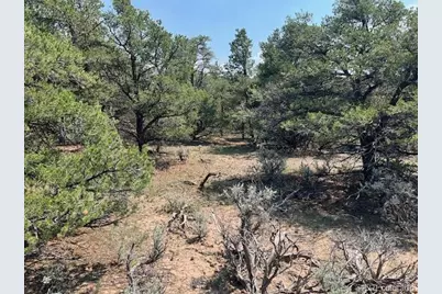Lot 12 Bull Elk Trail, San Luis, CO 81152 - Photo 24