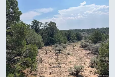 Lot 12 Bull Elk Trail, San Luis, CO 81152 - Photo 26