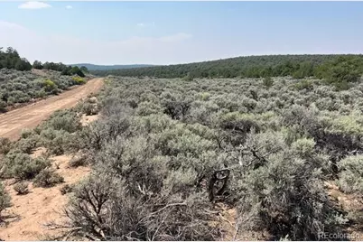 Lot 12 Bull Elk Trail, San Luis, CO 81152 - Photo 2