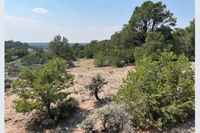 Lot 12 Bull Elk Trail, San Luis, CO 81152 - Photo 10