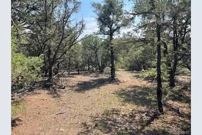 Lot 12 Bull Elk Trail, San Luis, CO 81152 - Photo 12