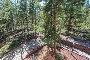 308 Red Hawk Cir, Silverthorne, CO 80498 - Photo 46