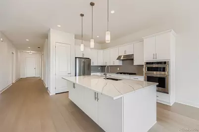 494 Basin Daisy Street, Castle Rock, CO 80104 - Photo 8