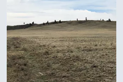 000 Black Beaver Circle, Hartsel, CO 80449 - Photo 2