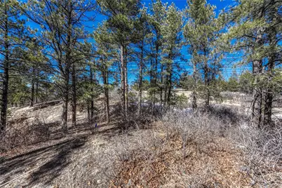 2111 Ramblewood Court, Castle Rock, CO 80104 - Photo 18