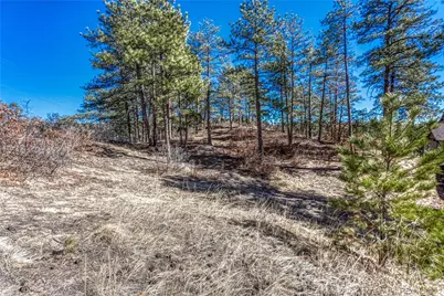 2111 Ramblewood Court, Castle Rock, CO 80104 - Photo 4