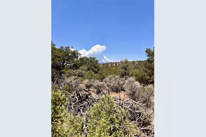 1134 Jorgulesco Road, Fort Garland, CO 81133 - Photo 10