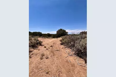 1134 Jorgulesco Road, Fort Garland, CO 81133 - Photo 16