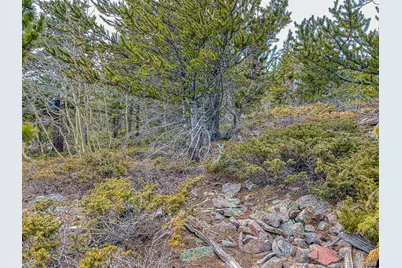 111 Hilltop Road, Idaho Springs, CO 80452 - Photo 10