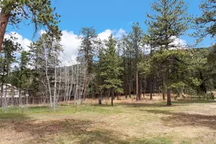 1100 Rampart Range Rd, Woodland Park, CO 80863 - Photo 48