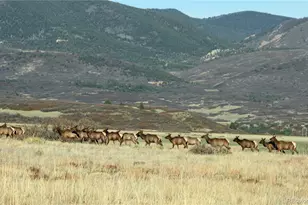 741 Big Wall Ln, La Veta, CO 81055 - Photo 22