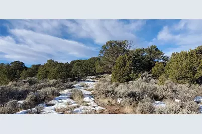 Lot 7265 Tiernan Road, Fort Garland, CO 81133 - Photo 1